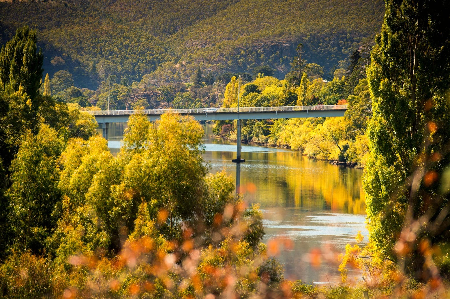 Enjoy the autumn colours on your Derwent Valley Road Trip in Tasmania