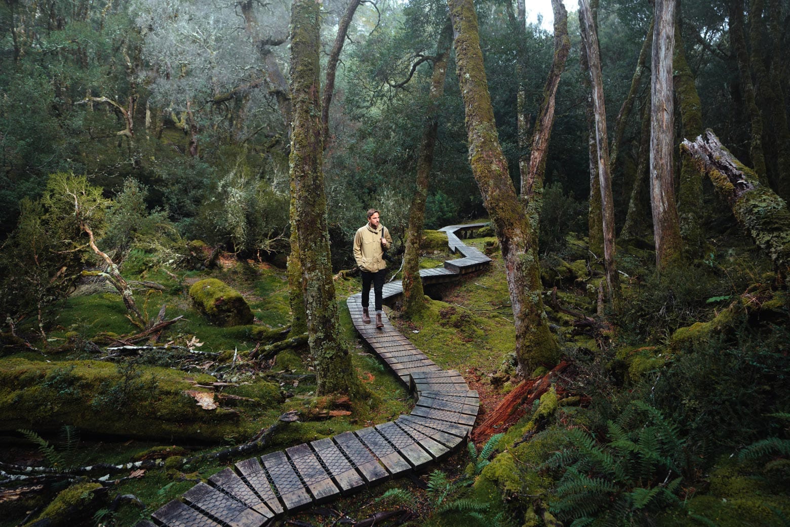 Walking the Knyvet Falls Track on your Lap of Tasmania road trip