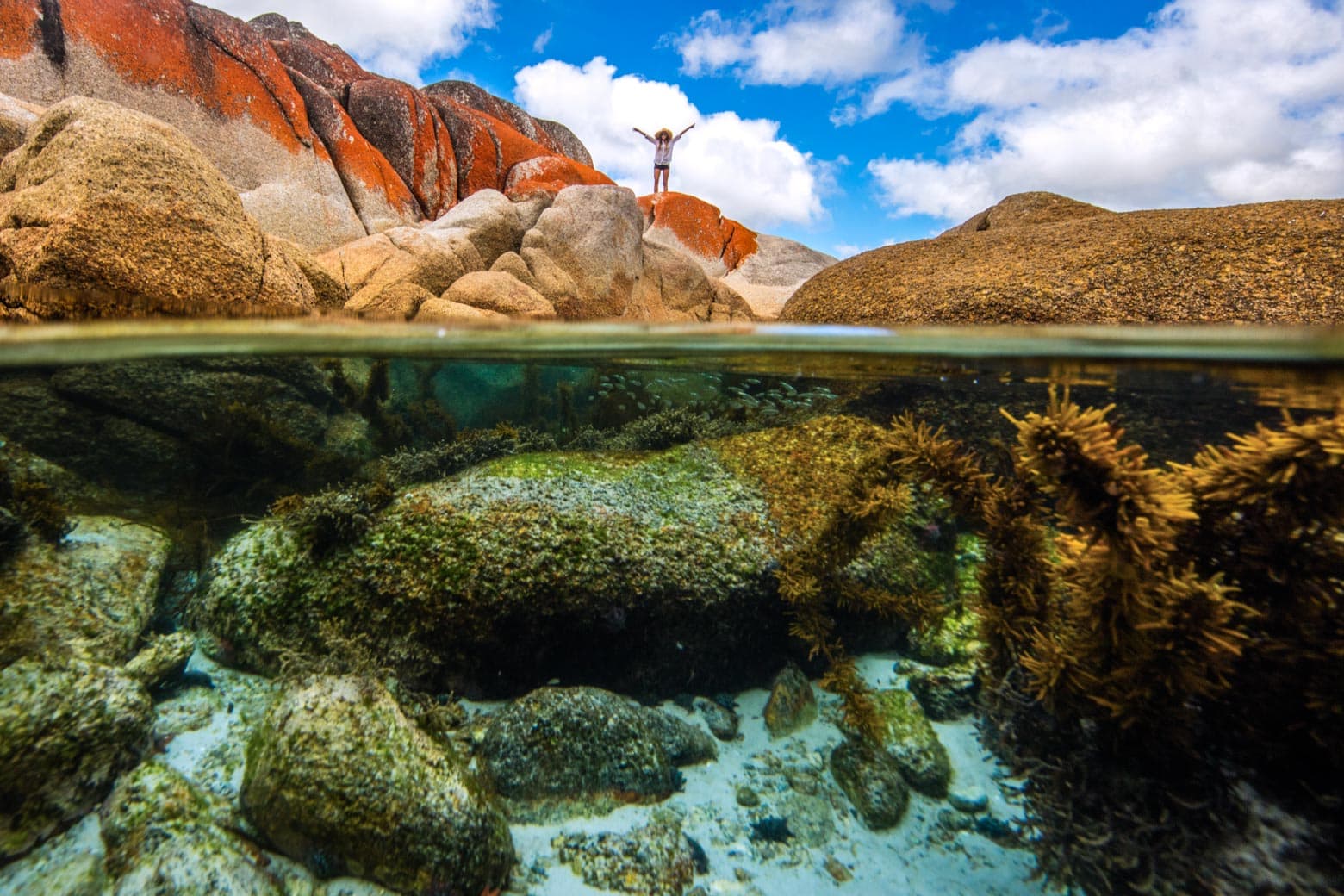 Cool waters of Bay of Fires are a must on your Lap of Tasmania road trip