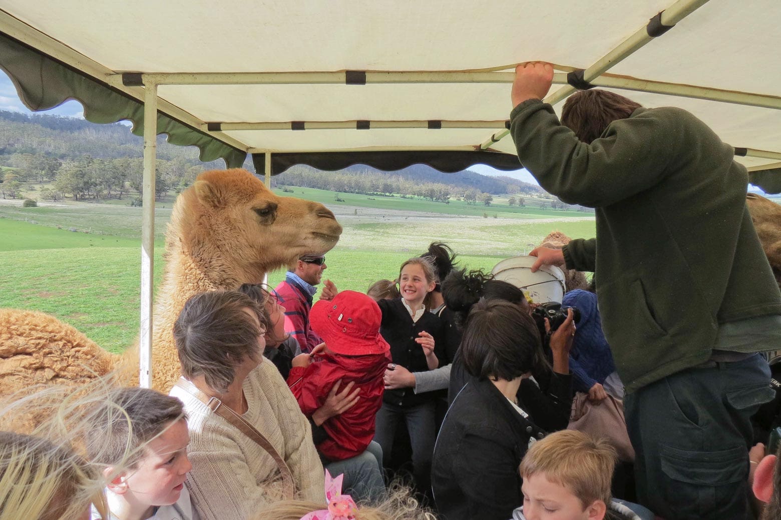 Take the children Zoodoo Wildlife Park on your Lap of Tasmania road trip