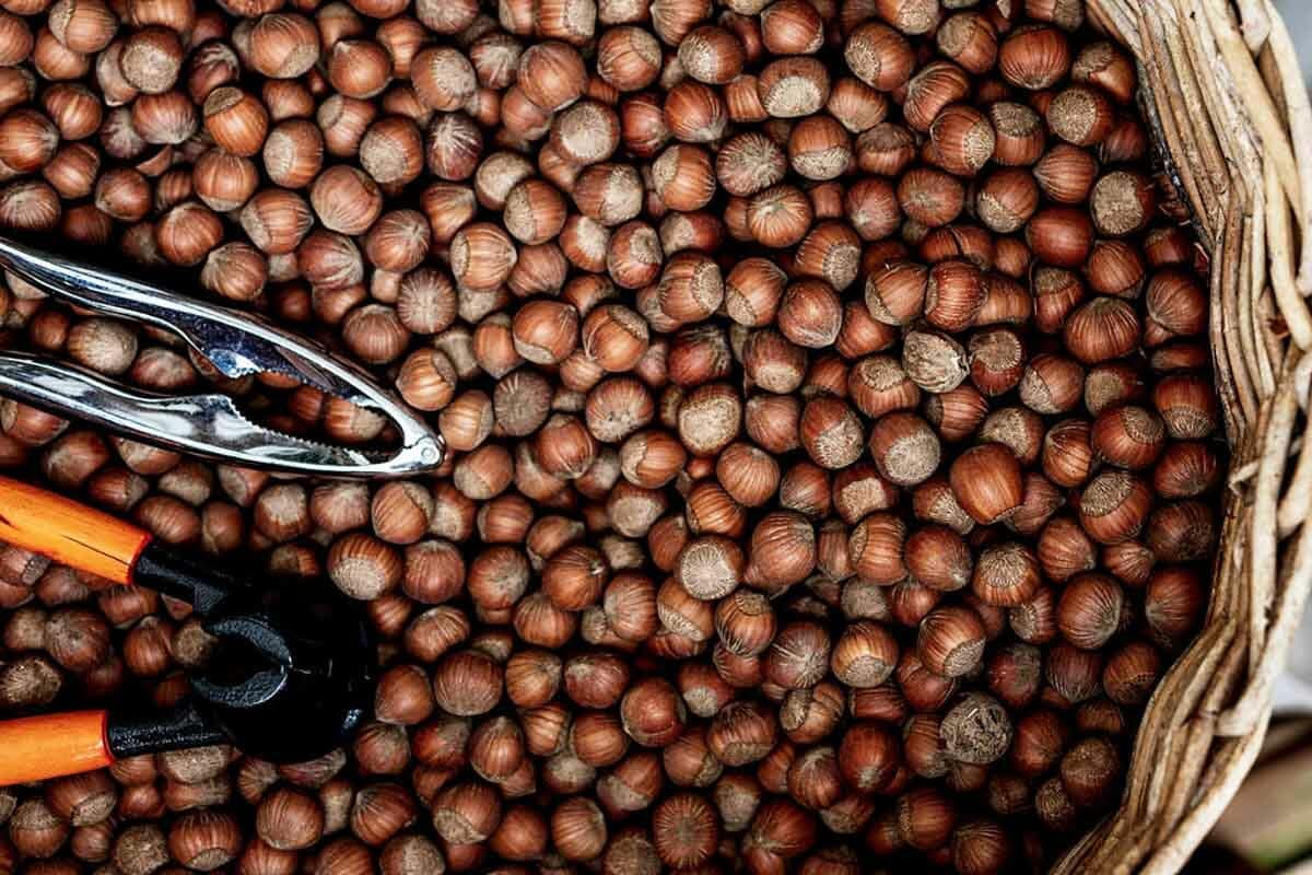 Hazelnuts
